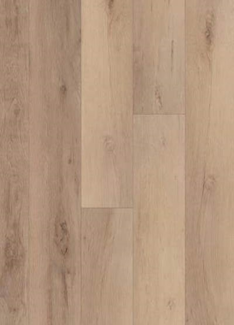 Madrid Oak